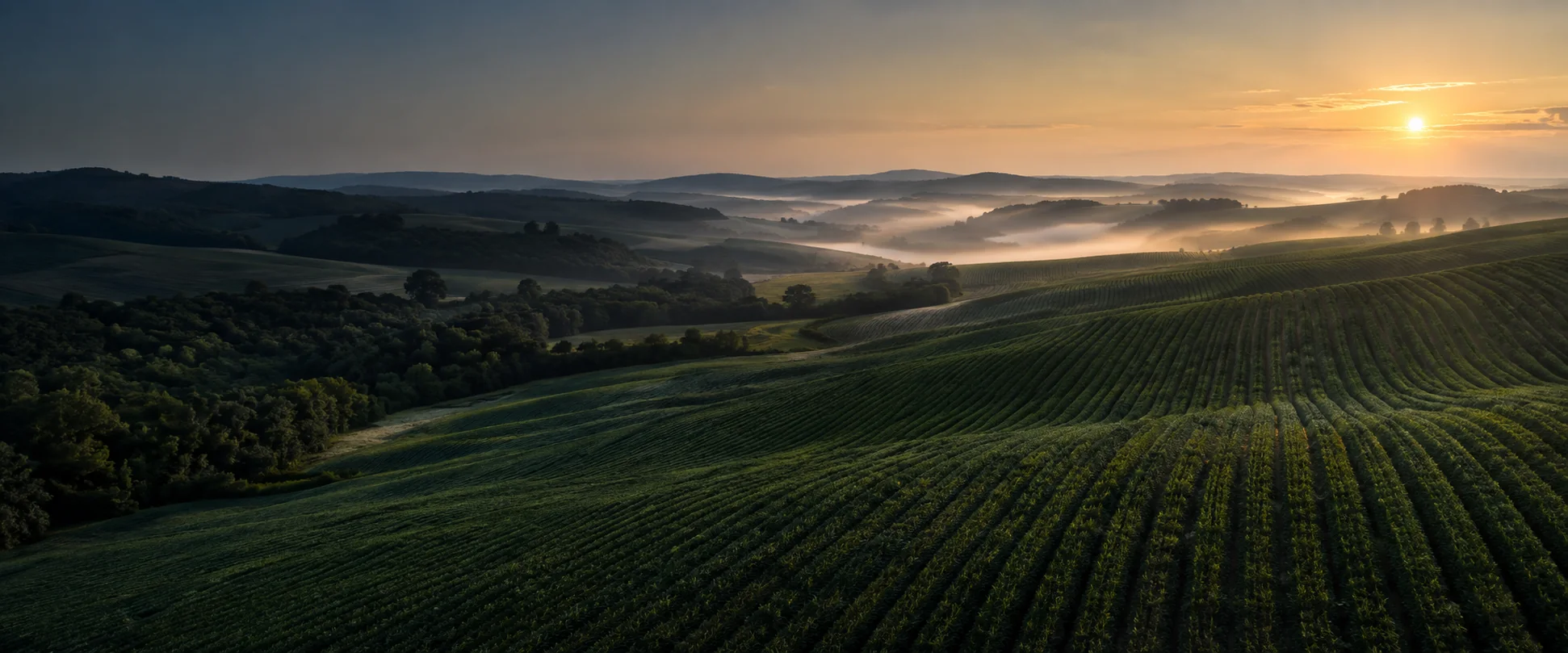 Paisagem agrícola conceitual ao amanhecer